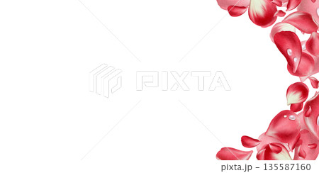 Semicircle floral template of red rose petals with fresh morning dew drops.Painted in soft watercolor with delicate textures,elegant design for romantic branding,wedding decor,luxury paper goods 135587160