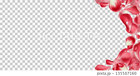 Semicircle floral template of red rose petals with fresh morning dew drops.Painted in soft watercolor with delicate textures,elegant design for romantic branding,wedding decor,luxury paper goods 135587160