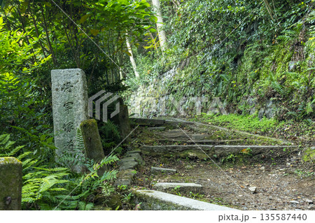 将軍塚道 石碑 将軍塚道 石碑 135587440