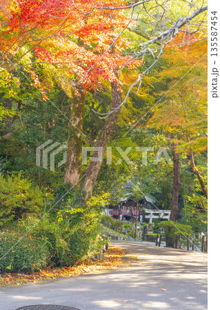京都　安養寺（円山聖天堂）大聖歓喜天尊 135587454