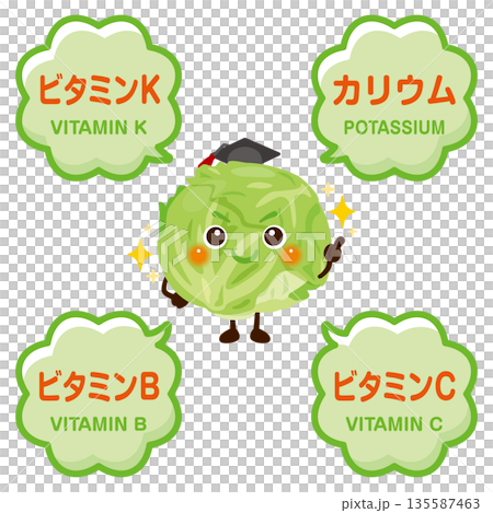 Illustration of lettuce character and ingredients contained in lettuce Illustration of lettuce character and ingredients contained in lettuce 135587463