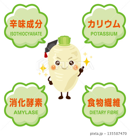 大根のキャラクターと大根に含まれる成分イラスト 135587470