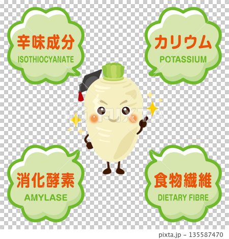 蘿蔔的特徵和成分圖示 蘿蔔的特徵和成分圖示 135587470
