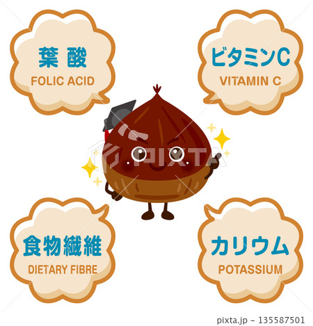 栗のキャラクターと栗に含まれる成分イラスト 栗のキャラクターと栗に含まれる成分イラスト 135587501