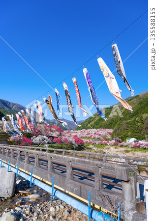 長野県阿智村 花桃の里 長野県阿智村 花桃の里 135588155