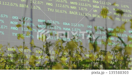 Displaying clusters of yellow flowering plants swaying in meadow with faint stock ticker overlay 135588303