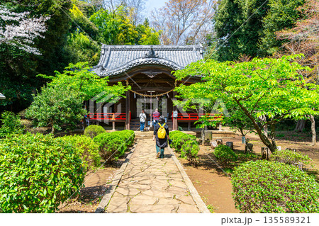 【神奈川県】境内の緑が綺麗な二宮町の吾妻神社 135589321