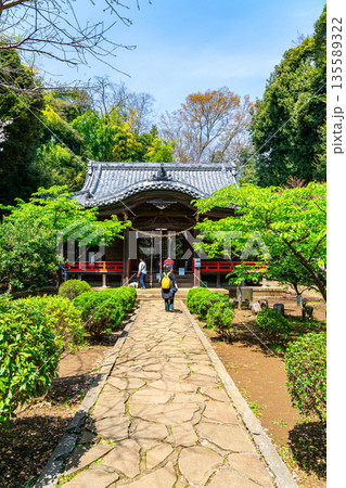 【神奈川県】境内の緑が綺麗な二宮町の吾妻神社 135589322