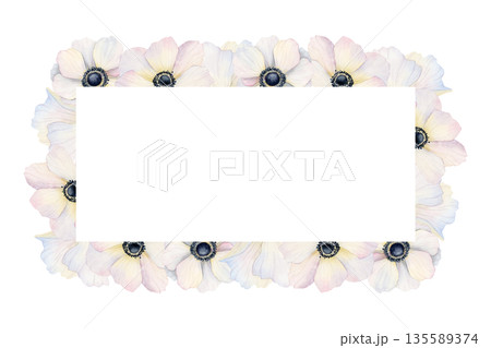 Watercolor white anemones flowers horizontal frame illustration. Hand drawn field poppies banner template with copy space for spring holidays greeting cards and wedding invitations 135589374