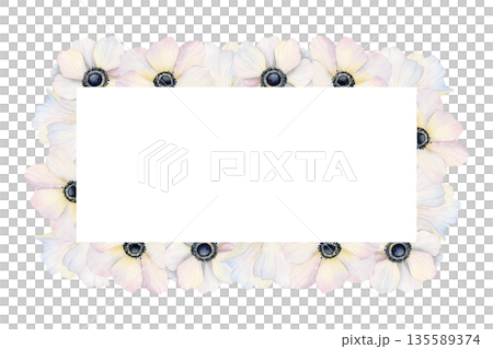 Watercolor white anemones flowers horizontal frame illustration. Hand drawn field poppies banner template with copy space for spring holidays greeting cards and wedding invitations 135589374