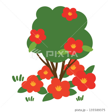 JEJU25. It is a red camellia flower illustration on a white background. JEJU25. It is a red camellia flower illustration on a white background. 135589375
