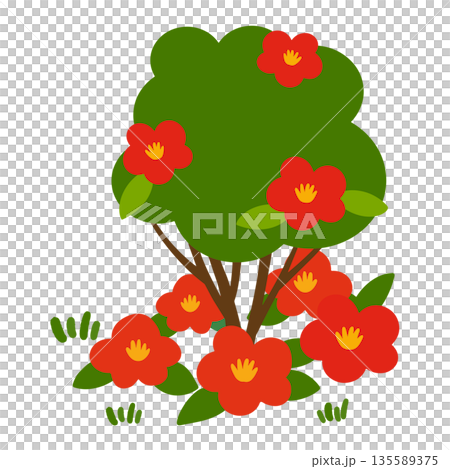JEJU25. It is a red camellia flower illustration on a white background. 135589375