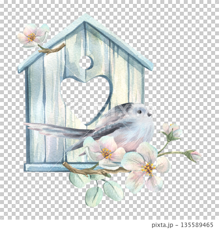 A long-tailed tit perched on a white wooden birdhouse with a heart-shaped window among apple blossoms flowers. Hand-drawn watercolor illustration for spring wedding and holiday designs. A long-tailed tit perched on a white wooden birdhouse with a heart-shaped window among apple blossoms flowers. Hand-drawn watercolor illustration for spring wedding and holiday designs. 135589465