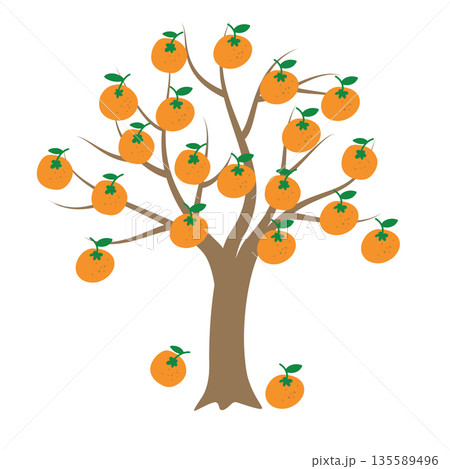 JEJU28. An illustration of a tangerine tree painted on a white background. JEJU28. An illustration of a tangerine tree painted on a white background. 135589496