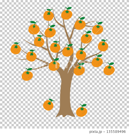 JEJU28. An illustration of a tangerine tree painted on a white background. JEJU28. An illustration of a tangerine tree painted on a white background. 135589496