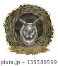 Fluffy gray rabbit in a dark hole on a pile of hay and straw, front view. Watercolor illustration of the animal in a realistic style is perfect for Easter cards, banners, postcards, and wallpaper. 135589599