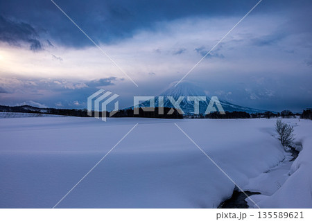 冬の静寂に佇む羊蹄山　北海道俱知安の冬 135589621