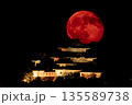和歌山城とお月さん 135589738