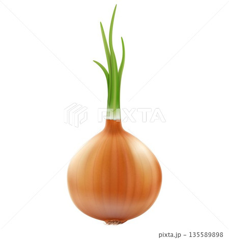 Onion, isolated on white background. Realistic 3D Vector illustration 135589898