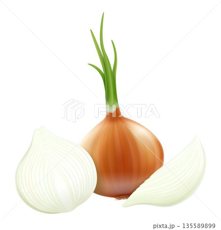 Onion, isolated on white background. Set of Fresh Whole and Sliced Yellow Onion Bulbs Close up. Realistic 3d vector illustration. 135589899