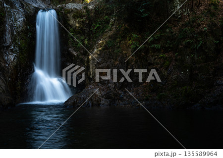 美しい鳴沢の滝 135589964