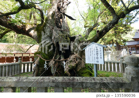 大山祇神社 135590036