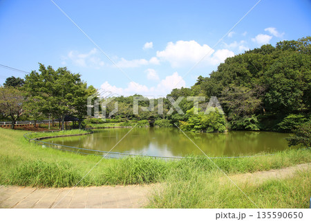 日本池 日本池 135590650