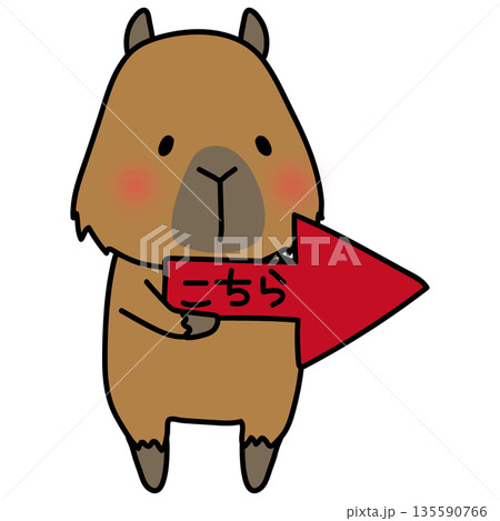 右を指す矢印を持つカピバラ 右を指す矢印を持つカピバラ 135590766