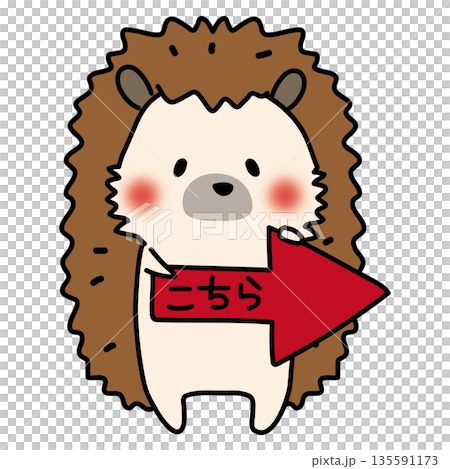 右を指す矢印を持つハリネズミ 135591173