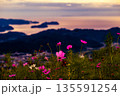 コスモスパークと空と海 135591254