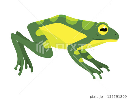 Frog jumping animation icon. Sequences or footage for motion design. Cartoon toad jumping, animal movement concept. Frog leap sequence, vector illustration Frog jumping animation icon. Sequences or footage for motion design. Cartoon toad jumping, animal movement concept. Frog leap sequence, vector illustration 135591299