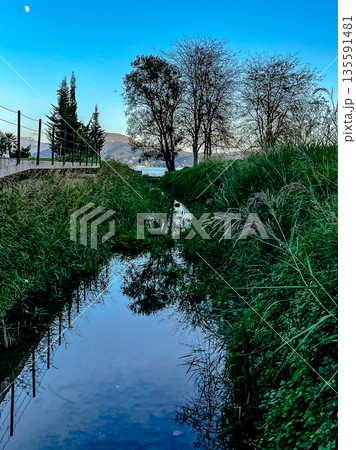 calm water mirrors leafless winter trees, silent countryside with gentle ripples and blue hue tones calm water mirrors leafless winter trees, silent countryside with gentle ripples and blue hue tones 135591481