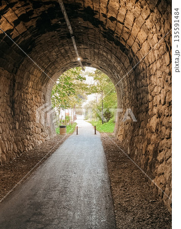 serene pathway with wandering traveler, tranquil corridor framing solitary backpacker amidst nature 135591484