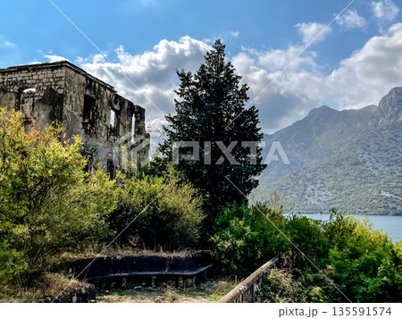 Ancient Ruins above Kotor Bay 135591574
