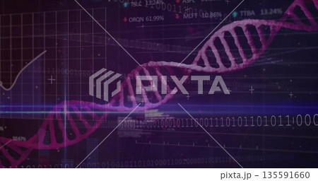 Magenta DNA helix stretching in virtual scene, showing binary code, grid chart, scan line, % ticker 135591660