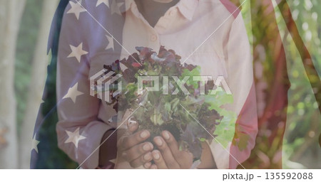 Holding leaf lettuce, woman in pale pink shirt in backyard garden with American flag overlay 135592088