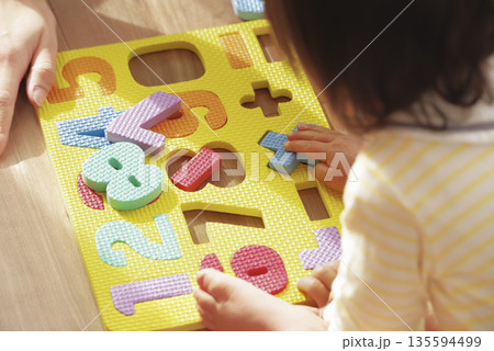 幼児向けのおもちゃで楽しく遊ぶ子供と母親 幼児向けのおもちゃで楽しく遊ぶ子供と母親 135594499