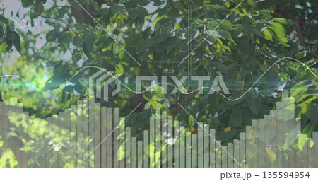 Showing canopy filtering sunlight in garden, with overlay of bar chart, line graph, grid and labels 135594954