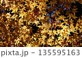 美しい紅葉 135595163