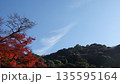 美しい紅葉 135595164