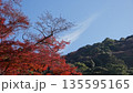 美しい紅葉 135595165