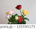 カラフルなバラ カラフルなバラ 135595175