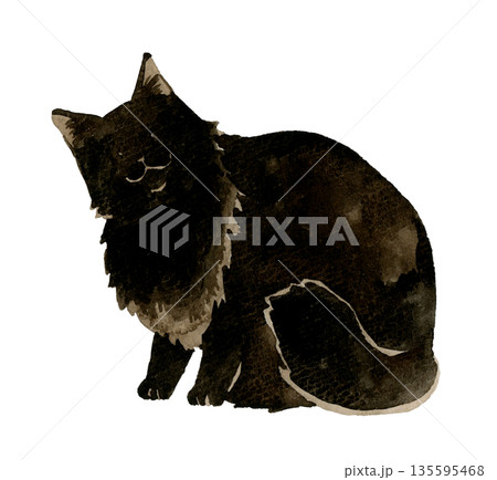 座る黒色の長毛猫　ペット・動物の手描き水彩イラスト素材 135595468