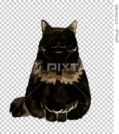一隻黑色長毛貓坐著，面向前方。手繪水彩寵物動物插畫。 135595469
