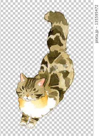 ジャンプ・着地しているノルウェージャンフォレストキャット ペット・動物の手描き水彩イラスト素材 ジャンプ・着地しているノルウェージャンフォレストキャット ペット・動物の手描き水彩イラスト素材 135595472