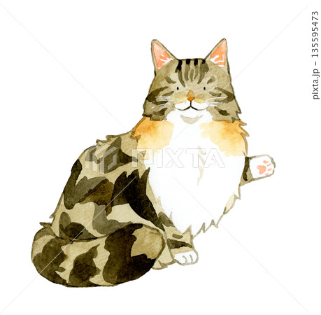 座る・何かを指すノルウェージャンフォレストキャット　ペット・動物の手描き水彩イラスト素材 135595473