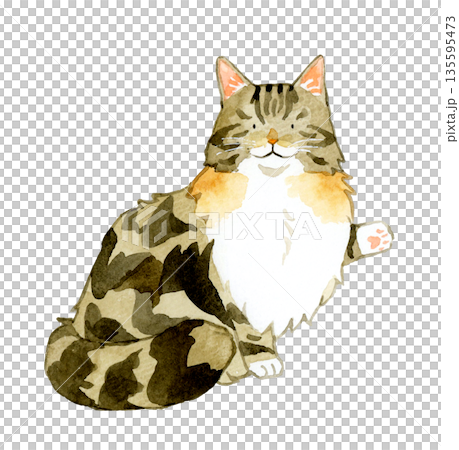 挪威森林貓坐著，指著什麼東西。手繪水彩寵物動物插畫。 135595473