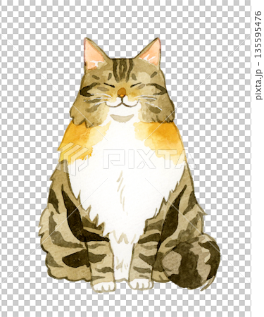 正面を向いて座っているノルウェージャンフォレストキャット ペット・動物の手描き水彩イラスト素材 正面を向いて座っているノルウェージャンフォレストキャット ペット・動物の手描き水彩イラスト素材 135595476
