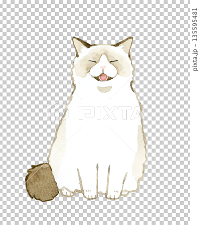 坐著哭泣的雙色布偶寵物/動物手繪水彩插圖 坐著哭泣的雙色布偶寵物/動物手繪水彩插圖 135595481