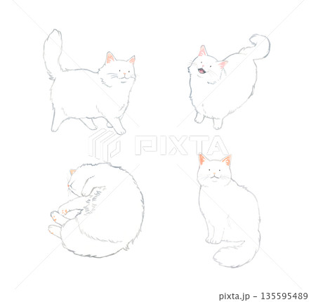 白色の長毛猫のセット ペット・動物の手描き水彩イラスト素材 白色の長毛猫のセット ペット・動物の手描き水彩イラスト素材 135595489